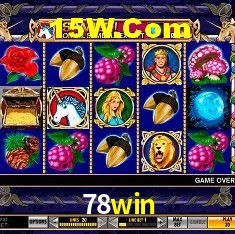 Provedores de Jogos 78win